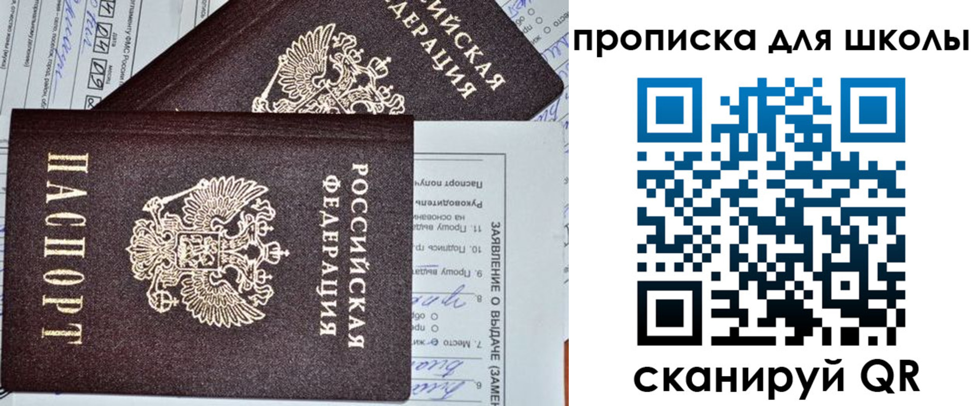 прописка в Ростовской области